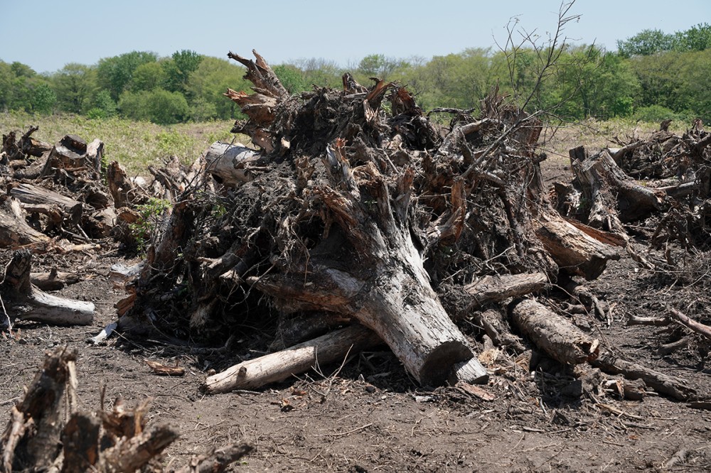 工事で掘り起こした木の根をリサイクル（SDGs）／TECHNICAL YIELD ...
