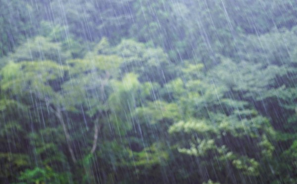 太陽光発電には悩ましい北海道の梅雨？「蝦夷梅雨」について