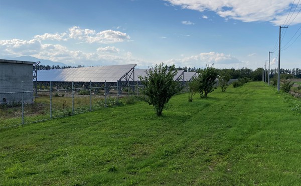 草刈り作業を行っています／太陽光発電施設のメンテナンス