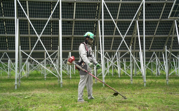 太陽光発電所内の除草作業を実施しております