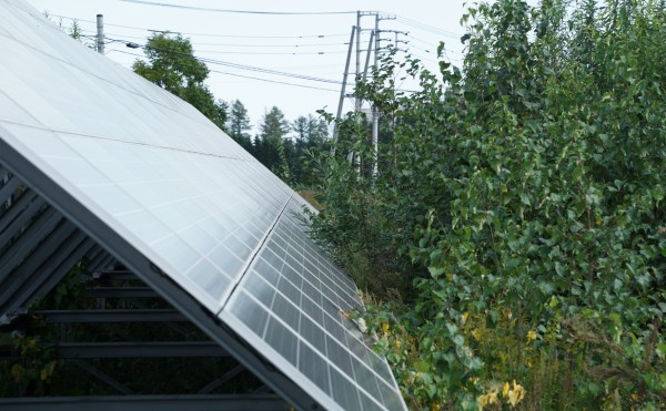 太陽光発電所…こうなっていませんか？